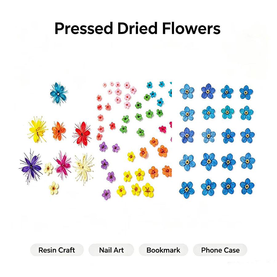 60pcs Mini Pressed Dried Flowe - Resin Art Case recension och pris